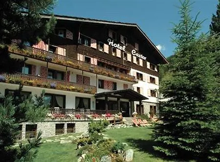 Hotel Castor 3*