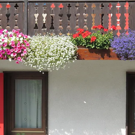 Hotell Castor Champoluc