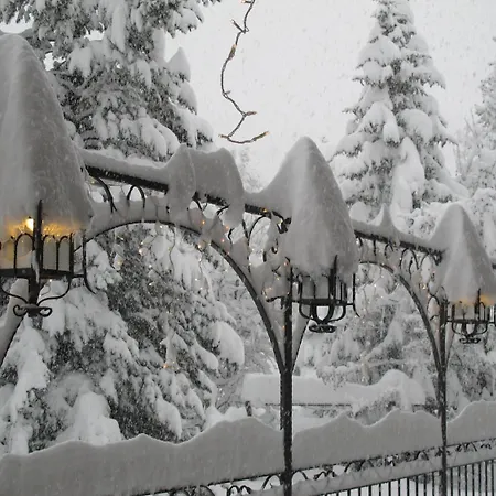 Castor 3* 샴폴루크