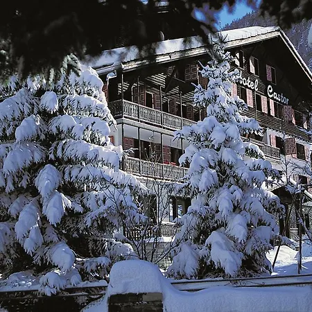 Castor 3*